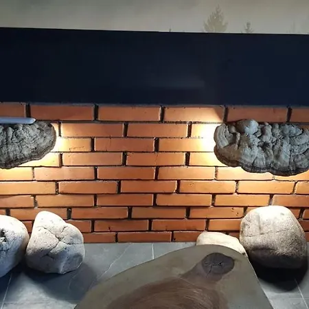 公寓 Spokoloko Skrzyczne Korzenny I Kamienny 什切尔克