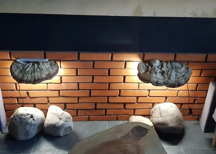 Apartmán Spokoloko Skrzyczne Korzenny I Kamienny Szczyrk